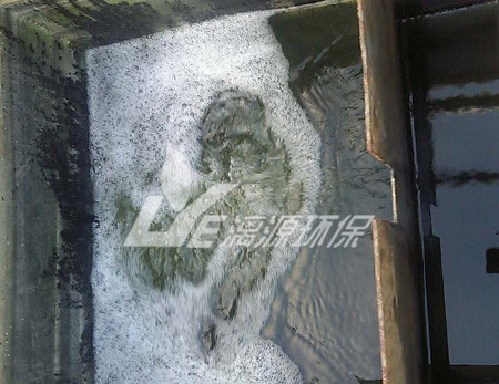 涂料化工廢水處理的生物法有哪些？