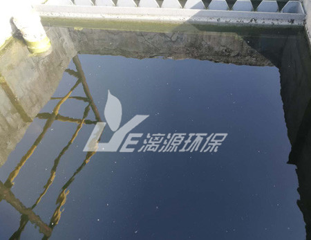 肉類加工廢水處理工藝的選擇有哪些呢？