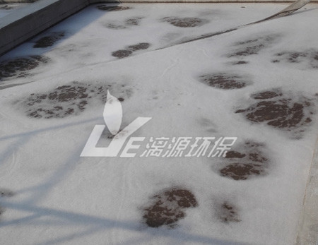工業(yè)污水處理現(xiàn)代的處理技術(shù)有哪些？