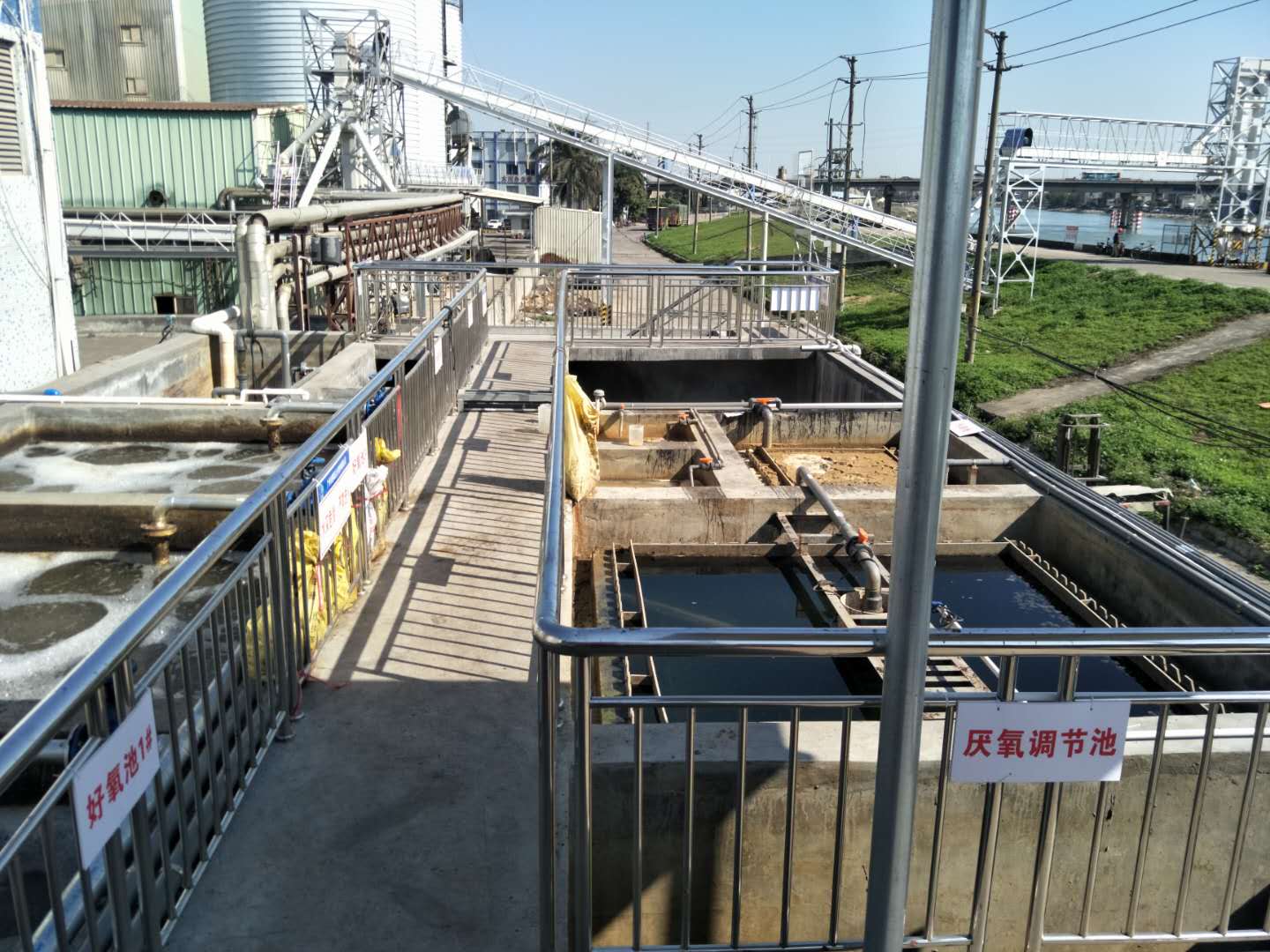 食品廢水植物處理技術(shù)，你知道嗎？